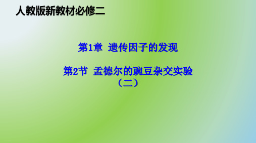 孟德尔的豌豆杂交实验二人教版高中生物必修二教学课件1