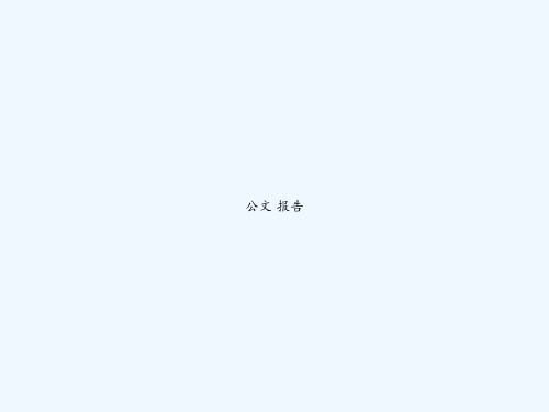 公文 报告 PPT