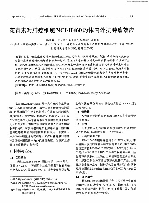 花青素对肺癌细胞NCI-H460的体内外抗肿瘤效应