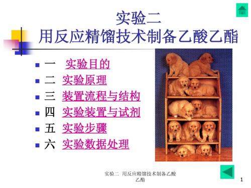 实验二  用反应精馏技术制备乙酸乙酯