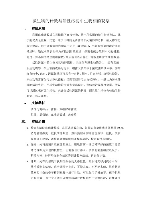 微生物的计数与活性污泥中生物相的观察