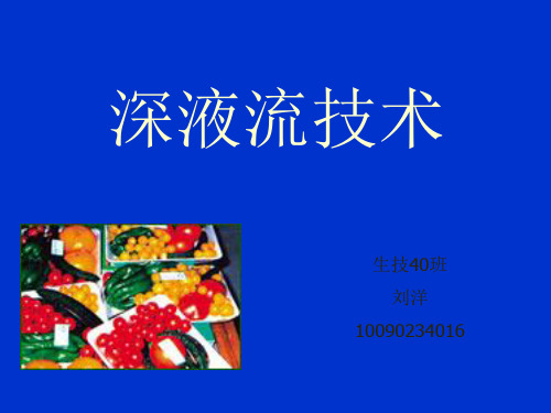 无土栽培技术之水培技术