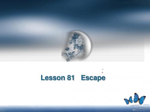 新概念英语第二册81课 Escape PPT