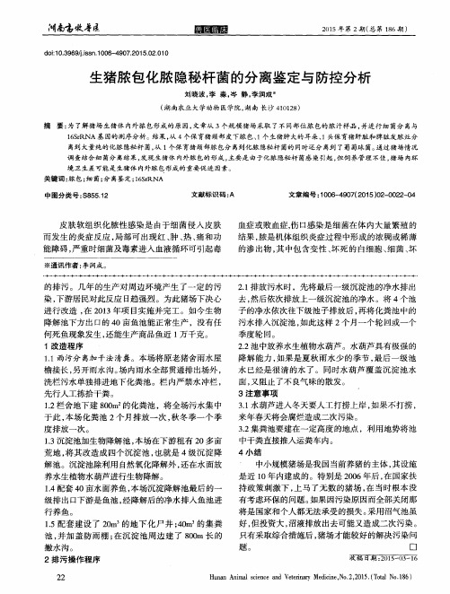 生猪脓包化脓隐秘杆菌的分离鉴定与防控分析
