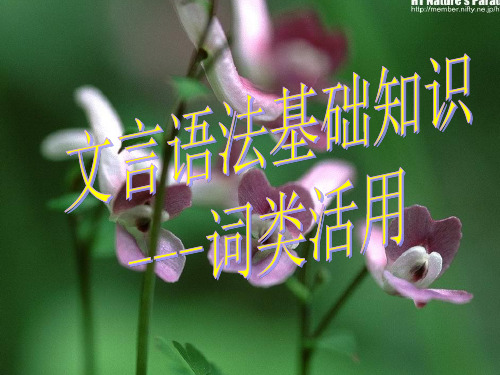 高考复习文言语法基础知识——词类活用