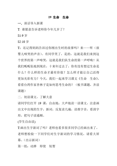 19 生命  生命教案