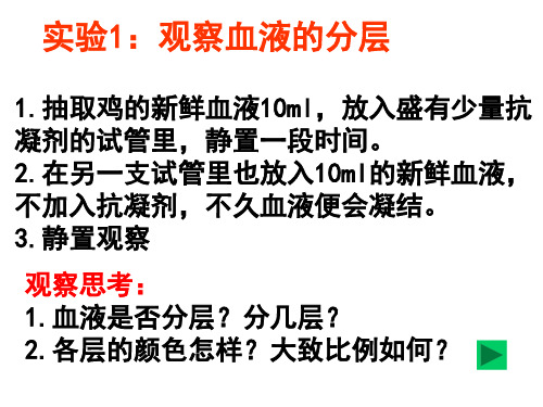 人体内物质的运输血液PPT课件
