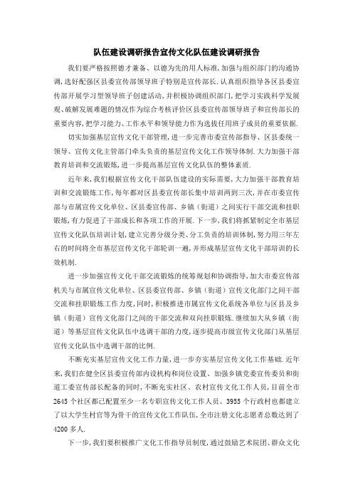 队伍建设调研报告 宣传文化队伍建设调研报告 精品
