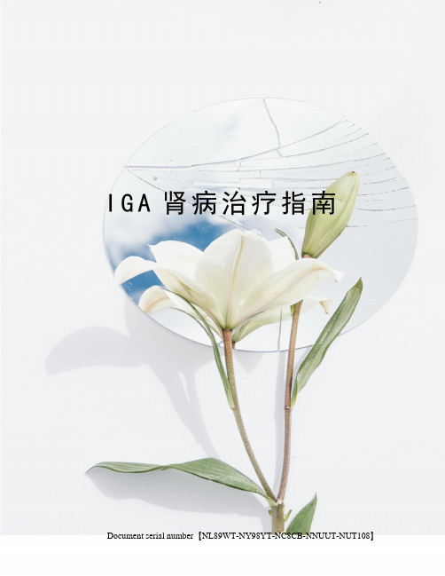 IGA肾病治疗指南