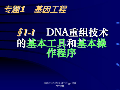 最新高中生物 基因工程 ppt 课件PPT课件