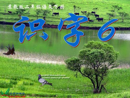 苏教版二年级语文下册识字6课件