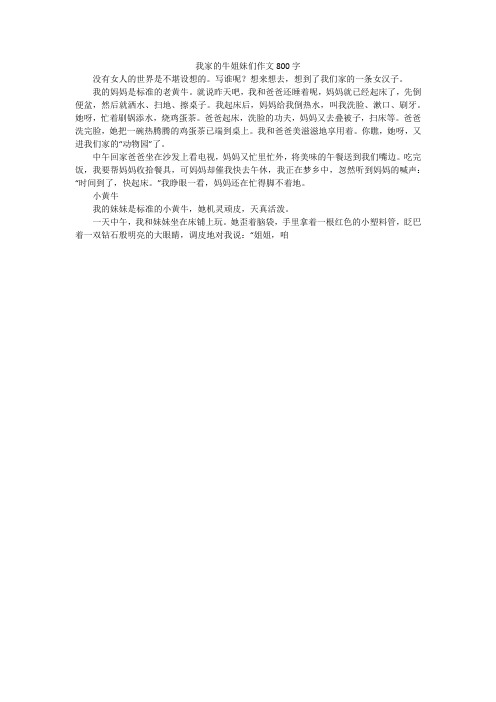 我家的牛姐妹们作文800字