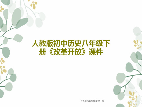 人教版初中历史八年级下册《改革开放》课件共45页