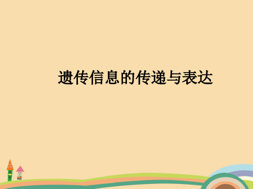 高二生物遗传信息的传递与表达PPT教学课件