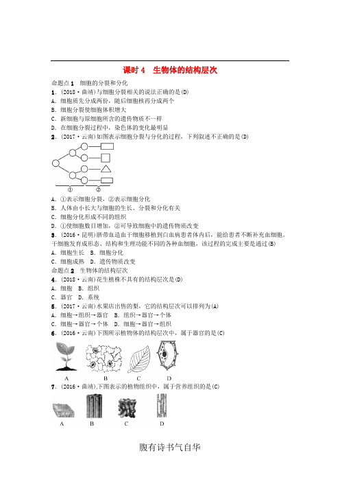 【配套K12】[学习](云南专版)2019届中考生物 教材考点梳理 第4课时 生物体的结构层次