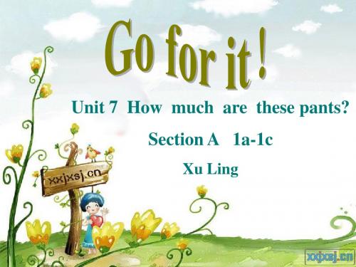 How much are these pants说课课件