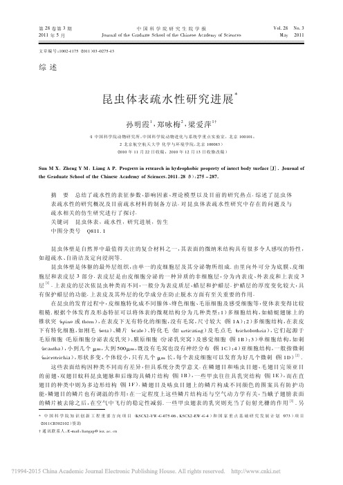 昆虫体表疏水性研究进展_孙明霞