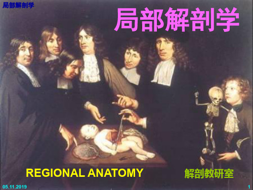 局部解刨学69页PPT