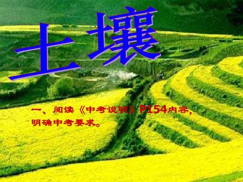 九年级科学土壤总复习(教学课件2019)