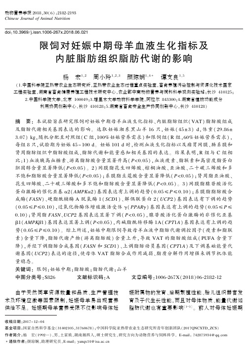 限饲对妊娠中期母羊血液生化指标及内脏脂肪组织脂肪代谢的影响