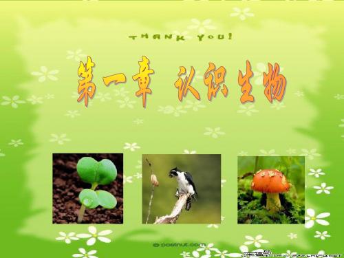 新人教版七年级上册第一单元第一章第一节 生物的特征 教学课件
