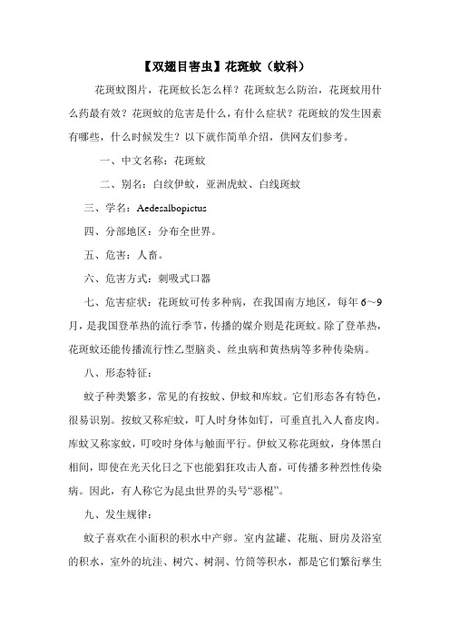 【双翅目害虫】花斑蚊(蚊科)