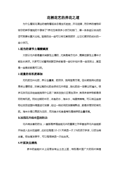 花栖花艺的养花之道