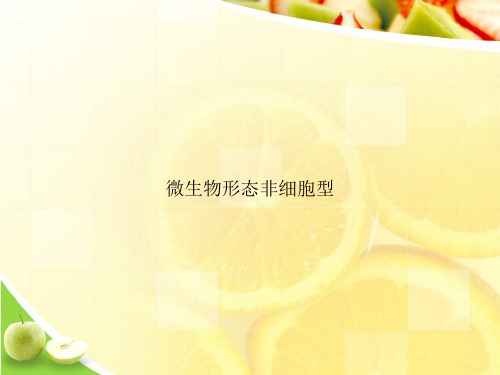 微生物形态非细胞型ppt文档