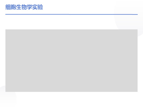 细胞生物学实验
