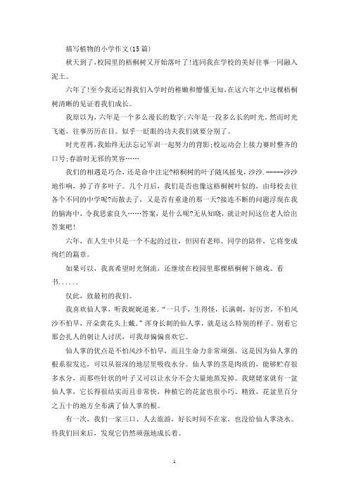描写植物的小学作文(15篇)(精选)