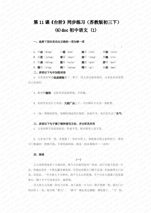 第11课《台阶》同步练习(苏教版初三下) (6)doc初中语文 (1)