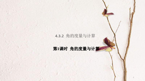 七年级数学上册 4.3 角 第1课时 角的度量与计算课件 (新版)湘教版.pptx