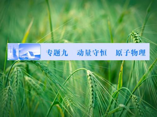 高考物理二轮复习专题突破(考情预览+易错辨析+核心突破)动量守恒 原子物理课件课件