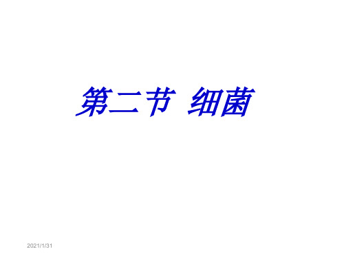 人教版初中生物202X课标版八年级上册第五单元第四章第二节 细菌(共21张PPT)