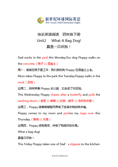 新世纪环球四年级下册U2快乐阅读翻译