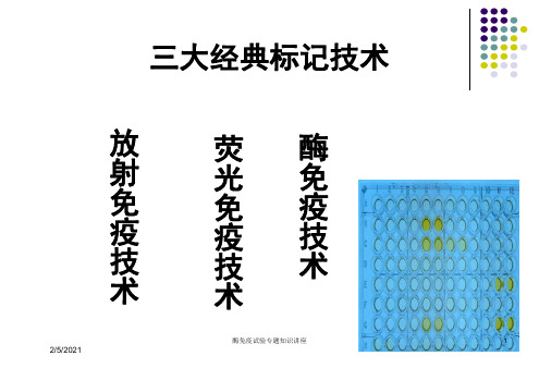 酶免疫试验专题知识讲座培训课件