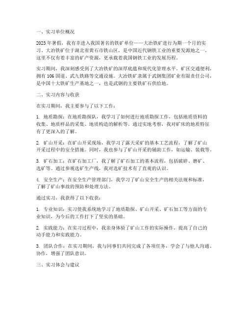 铁矿单位实习报告