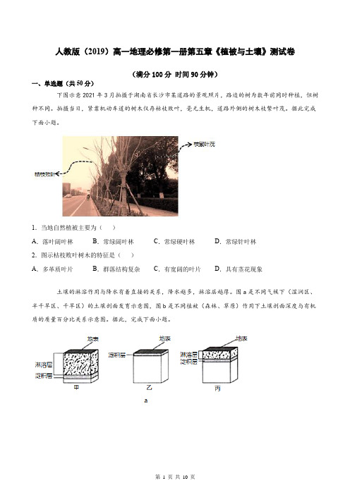 人教版(2019)高一地理必修第一册第五章《植被与土壤》测试卷(Word版,含答案)
