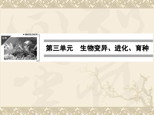 高考生物一轮复习资料 第三单元 第1讲 生物的变异课件 新人教版必修2