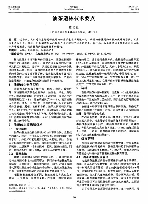 油茶造林技术要点