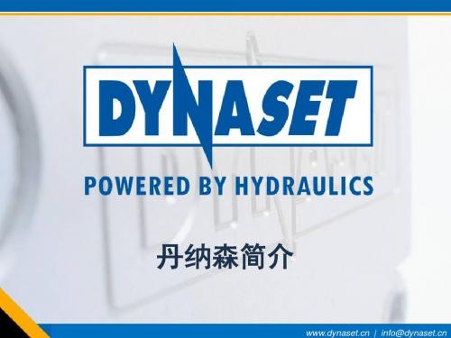 Dynaset简介
