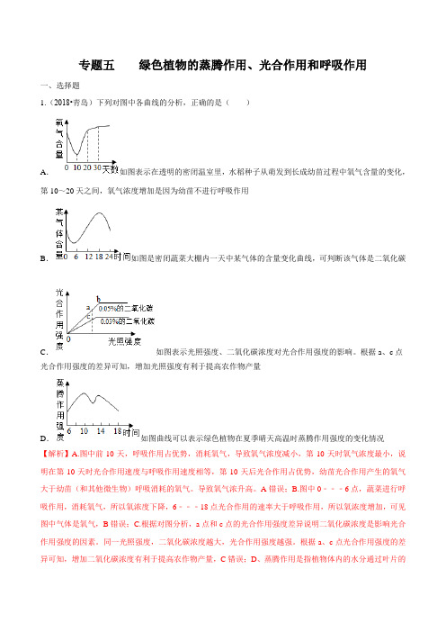 2020中考生物真题分类汇编(山东省)专题05 绿色植物的蒸腾作用、光合作用和呼吸作用(解析版)