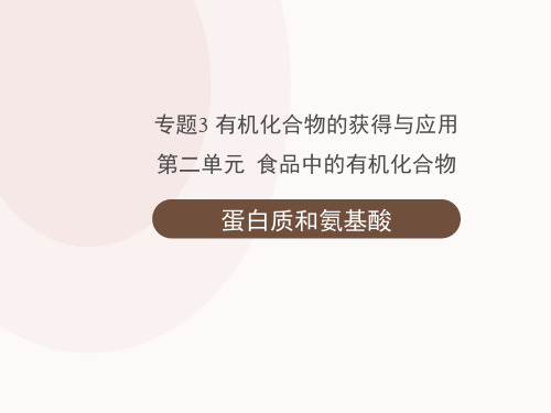 苏教版高中化学必修2《蛋白质和氨基酸》名师课件