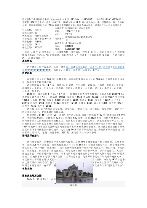 洛川近代史