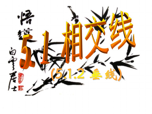 人教版数学七年级下册：5.1.2 垂线  (共15张ppt)