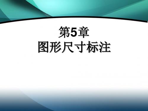 图形尺寸标注