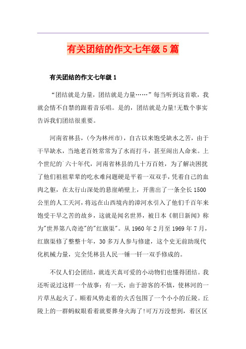 有关团结的作文七年级5篇