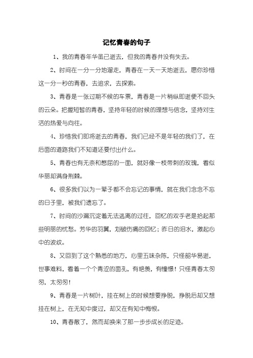 记忆青春的句子