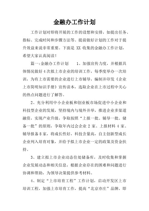 金融办工作计划