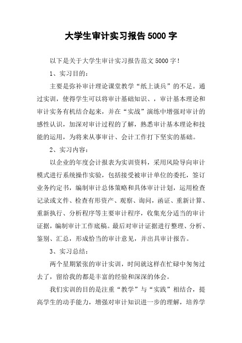 大学生审计实习报告5000字